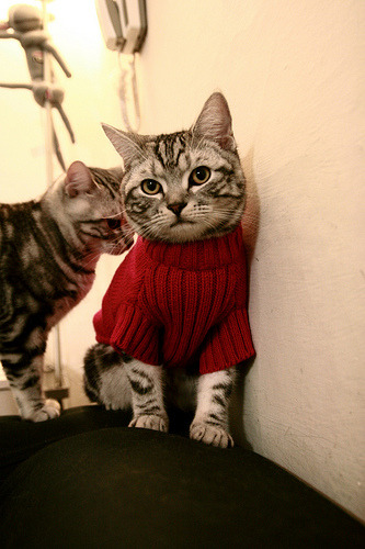 一剑封喉,当绝杀、逆转与神迹照亮NBA的历史夜空