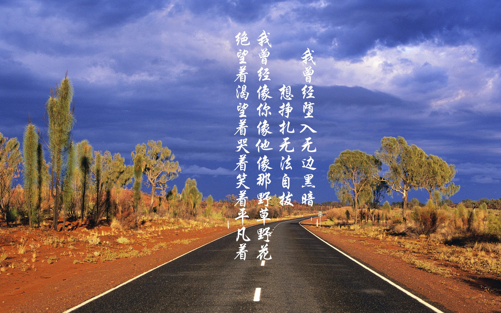 前无古人，后亦难有来者，当维斯塔潘将红色浪潮化为唯一性的注脚