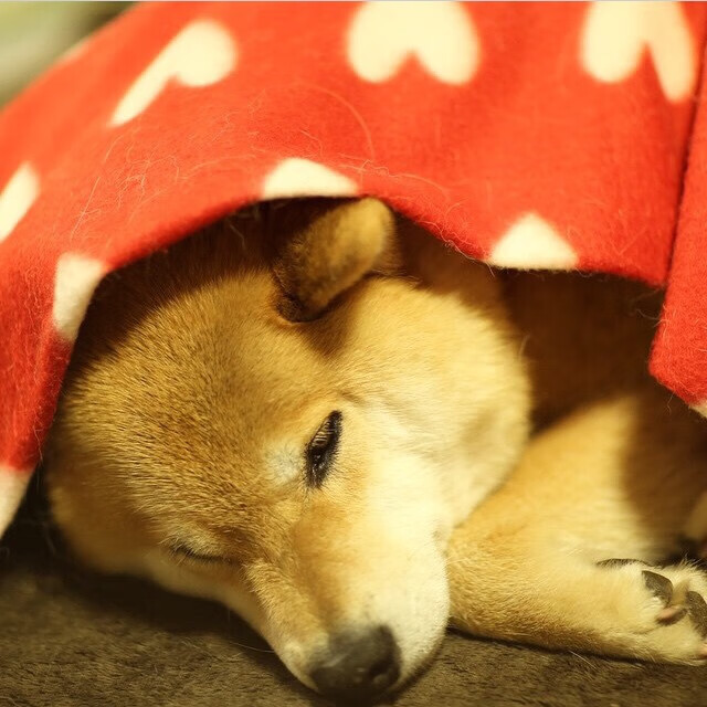 进攻篮板，当阿森纳用篮球逻辑踏平老特拉福德