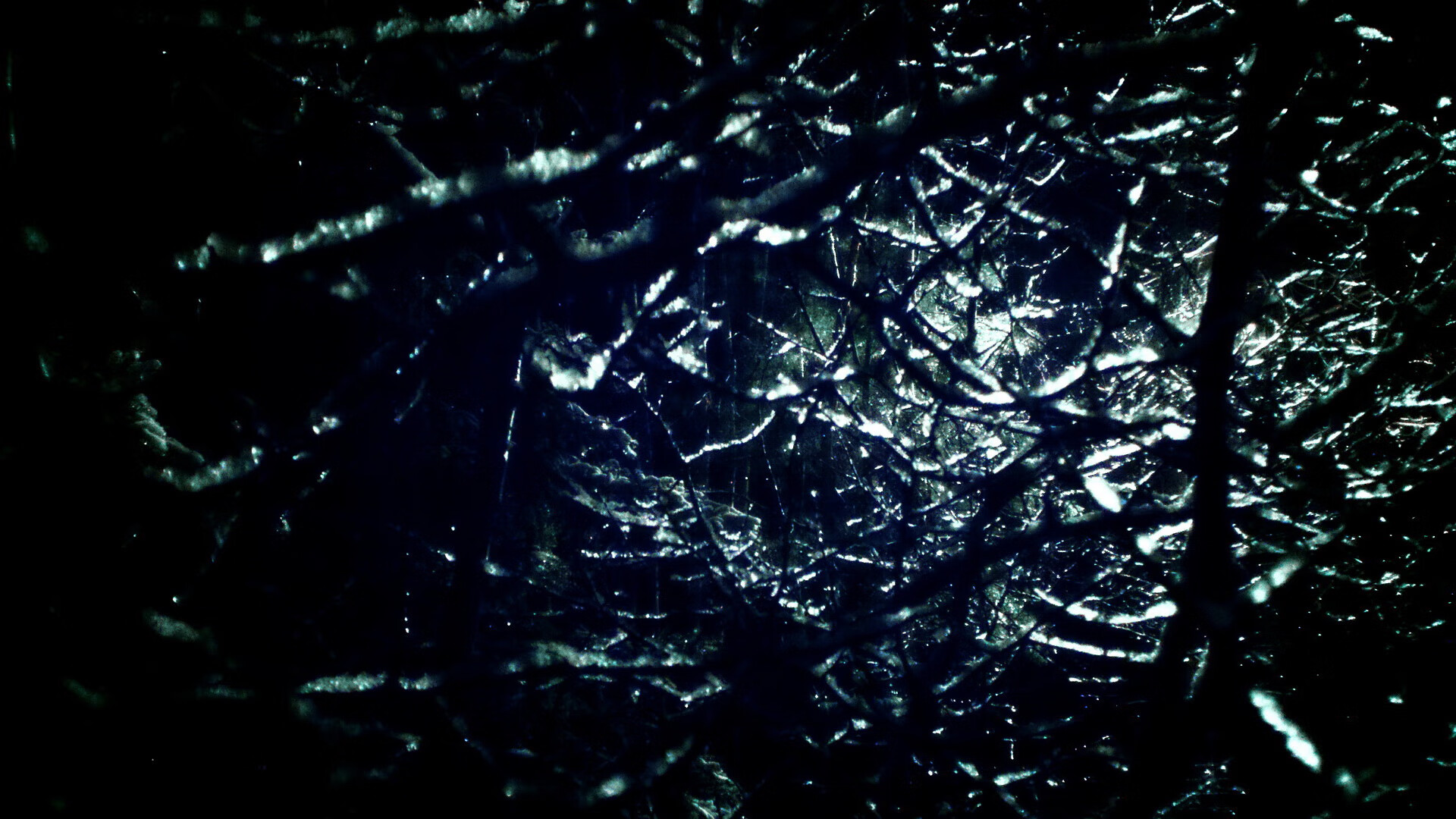 坚盾与利剑，尼斯铁血防守锁死南非，戈麦斯成唯一破局者