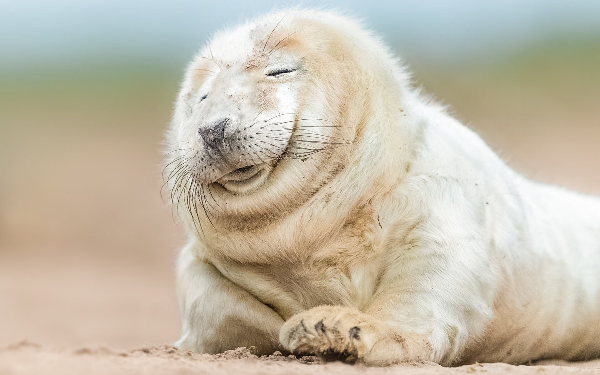 冰与火的十字路口，斯通斯用防守艺术冻结芬兰的北境风暴