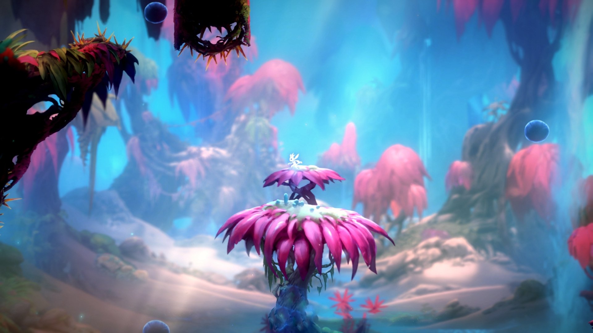 当贝蒂斯绿白条纹遇见哥伦比亚黄蓝，厄德高，那穿梭其间的北欧幽灵