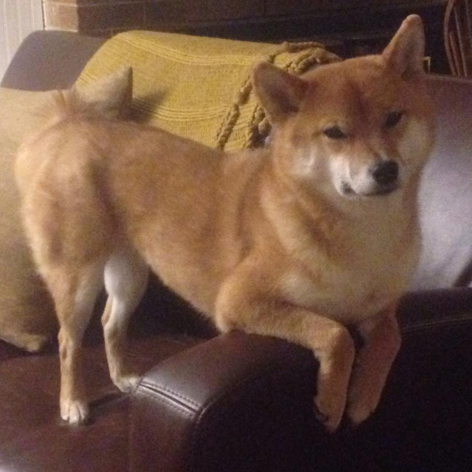 魔术强势晋级太阳，德罗赞，那位黄昏中的提灯人