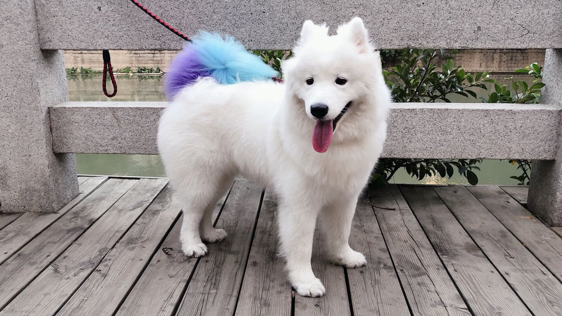 血月映照下的绝对统治，斯诺克世界之巅的王朝更迭之夜