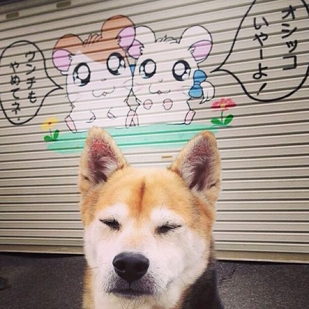 南美铁血夜与德国战车证明战，足球的两种叙事