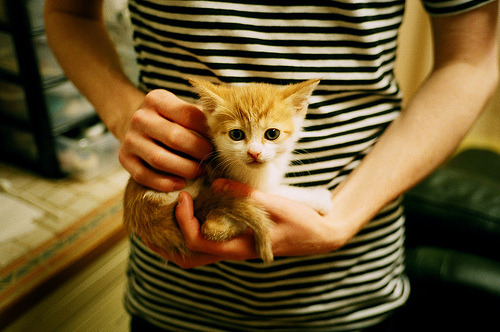 双刃出鞘，阿什拉夫两传一射，雷恩三球冲垮哥斯达黎加冠军防线