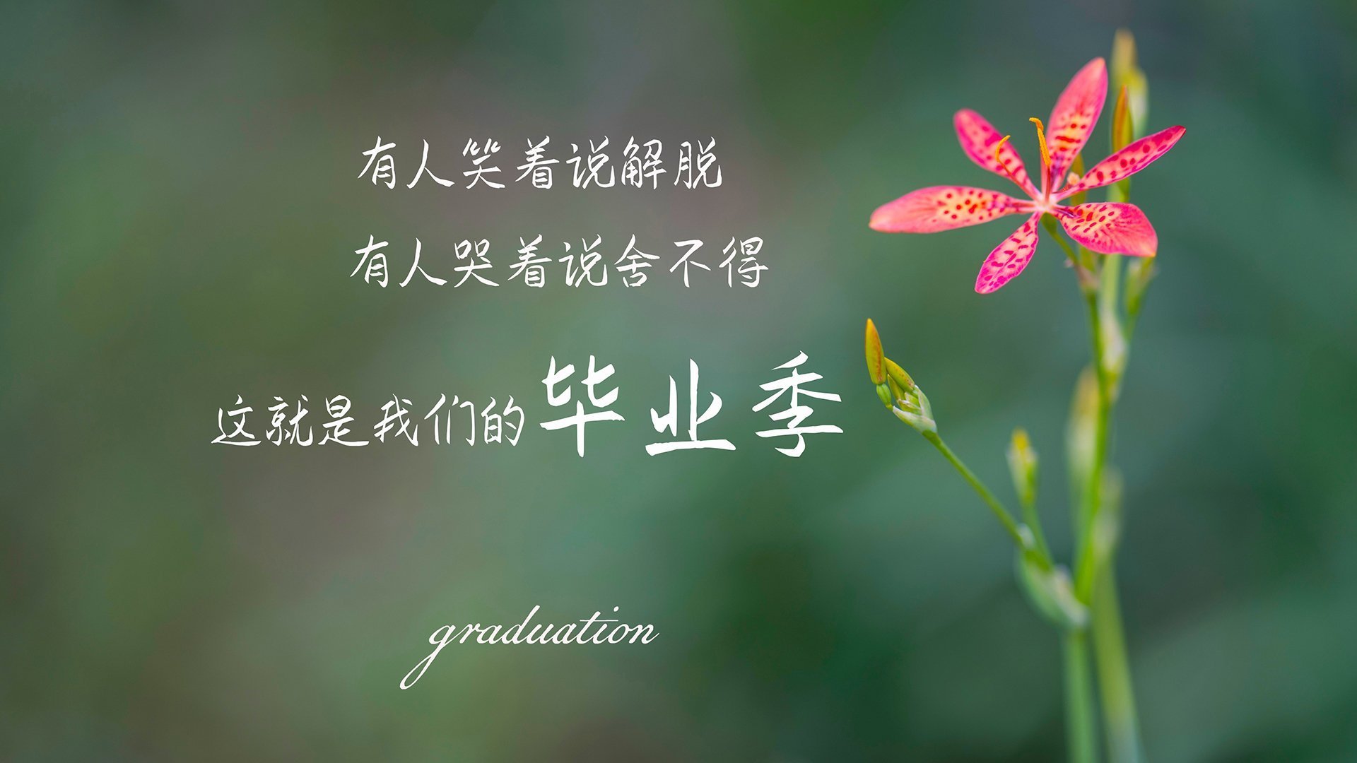 奥纳纳的怒吼与安菲尔德的回声，当利物浦在最后一刻击败中国