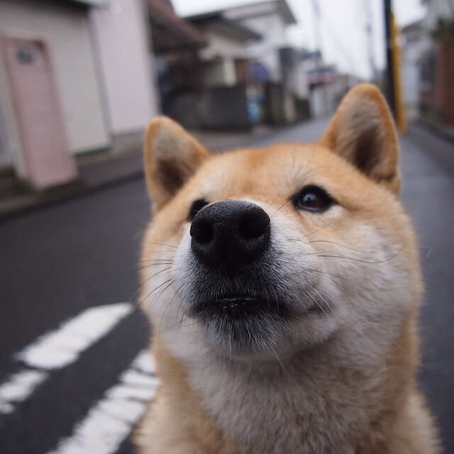 制胜弧线与救赎之路，楚阿梅尼踢碎心魔的那个乌克兰雨夜