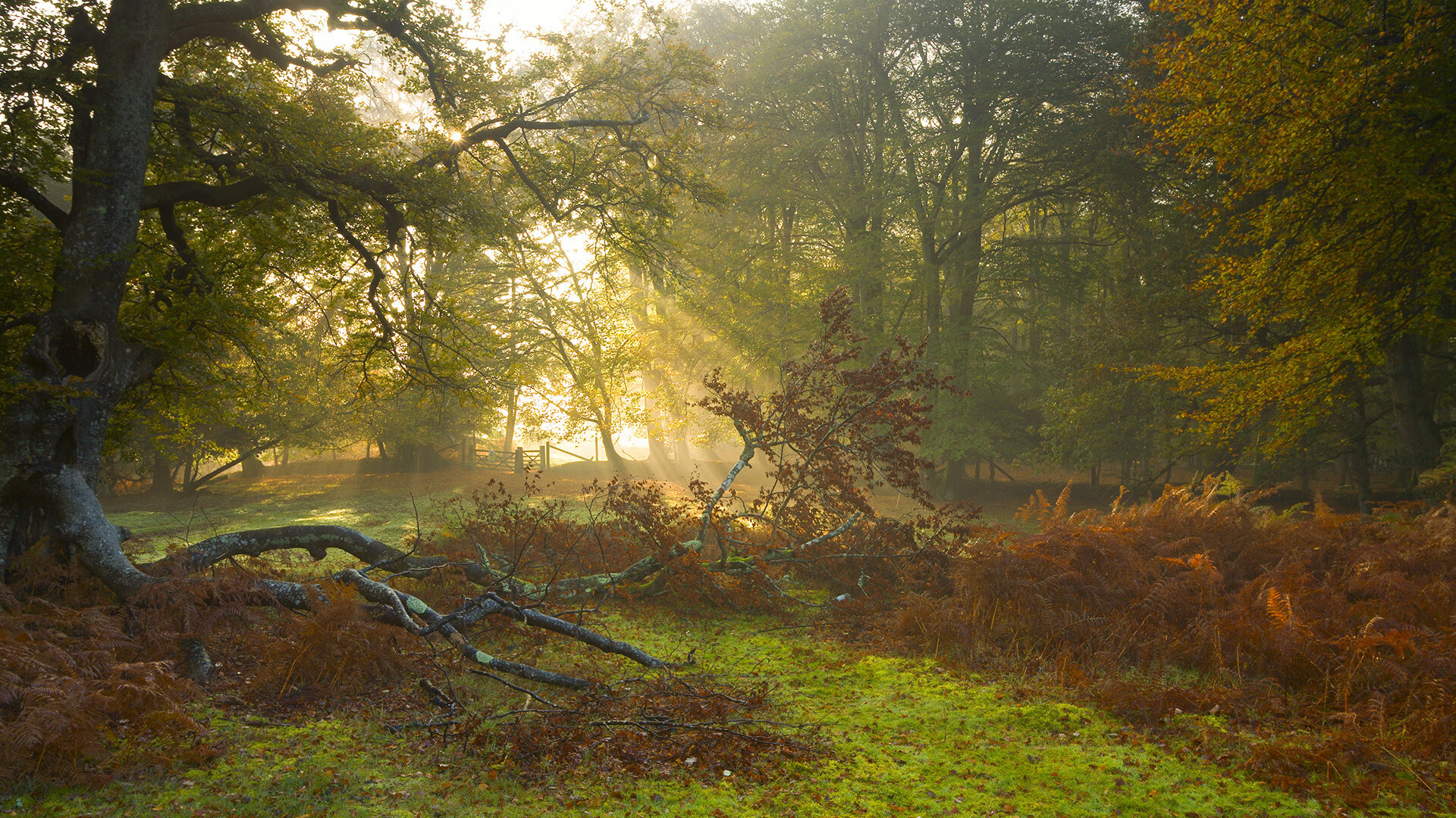 狭路相逢勇者胜！新疆队生死战绝境逃生