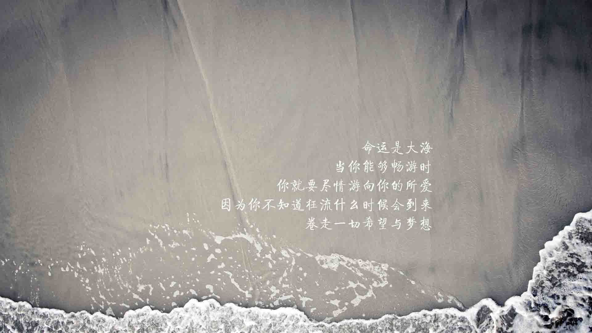 碾压与新生,2026世界杯E组焦点战,葡萄牙横扫泰国,罗德里戈的唯一性之夜