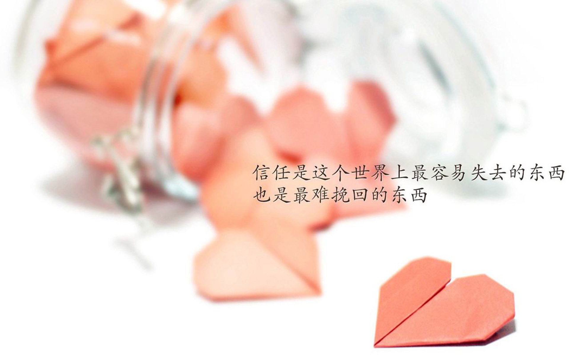 南美猎鹰的致命一击，厄瓜多尔绝杀罗马尼亚，登贝莱引领D组生死战走向终局